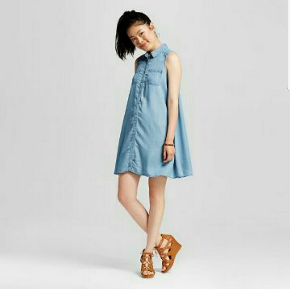 Chambray Dress